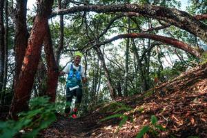 BIB: 
                            <button type="button" onclick="openModal(26345774)" class="btn btn-primary btn-sm float-right btn-popup" data-toggle="modal" data-target=".modal-high-quality">
                        <i class="fas fa-shopping-cart"></i> Add to Cart
                    </button>
                                            <button type="button" onclick="isThisMe(26345774, true)" class="btn btn-success btn-sm float-right btn-popup btn-isme hidden" data-toggle="tooltip" data-placement="bottom" title="นี่คือรูปของคุณใช่ไหม คลิกที่นี่เพื่อเอาเข้าอัลบั้ม">
                        <i class="fas fa-plus"></i> Add to album
                    </button>
                    <button type="button" onclick="isThisMe(26345774, false)" class="btn btn-warning btn-sm float-right btn-popup btn-isnotme hidden">
                        <i class="fas fa-ban"></i> Remove from album
                    </button>